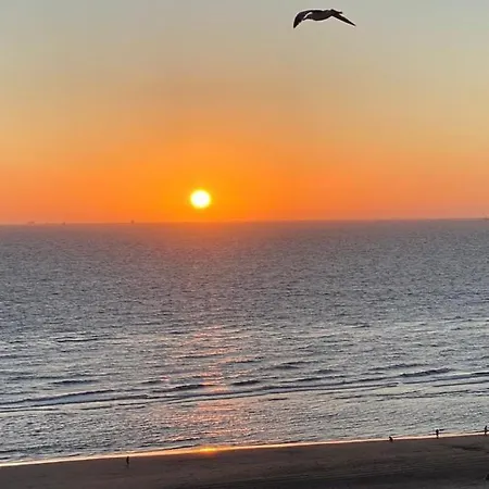 Delibas شقة زاندفورت